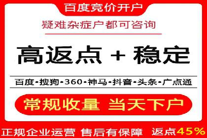 百度推广代运营公司成功案例：精准投放广告的秘诀